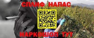 мдпв Тара