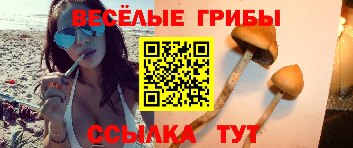 Псилоцибиновые грибы мухоморы Минусинск