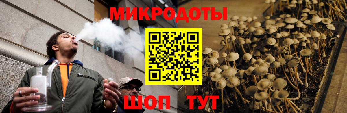 Псилоцибиновые грибы MAGIC MUSHROOMS  Псилоцибиновые грибы Psilocybine cubensis  магазин продажи   Минусинск  Вход с VPN 